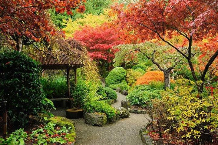 Nous plantons vos arbustes pour vous faire profiter d'un jardin florissant.